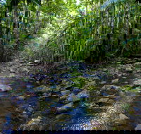Nambucca Valley - Tourism Noosa