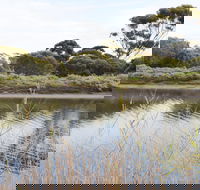 Onkaparinga River Recreation Park - Tourism Noosa
