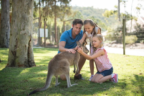 Paradise Country - Tourism Noosa 2