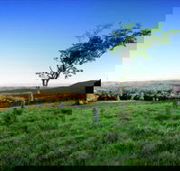 Ravensbourne - Tourism Noosa