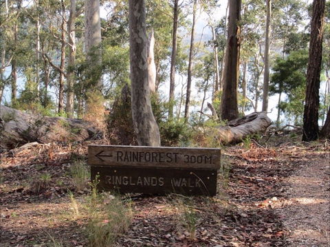 Ringlands Rotary Walk Narooma - Tourism Noosa 0
