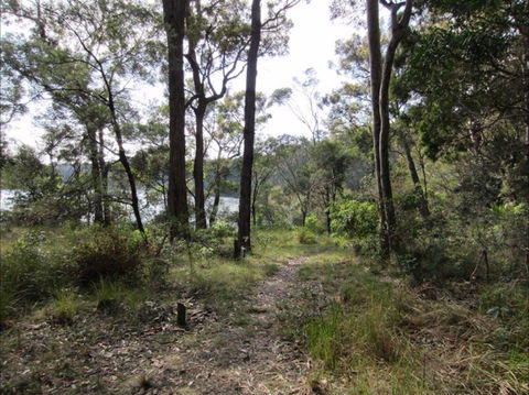 Ringlands Rotary Walk Narooma - Tourism Noosa 2
