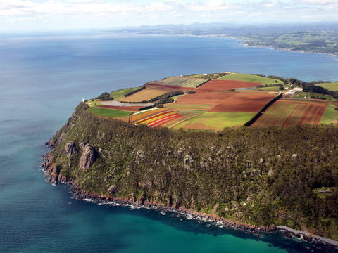 Table Cape - Tourism Noosa 1