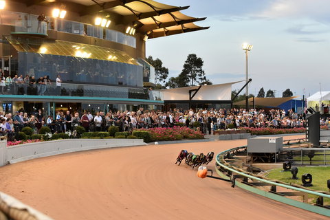 The Meadows - Tourism Noosa 1