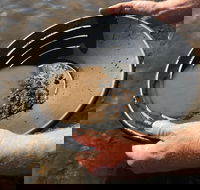 Tuena Panning for Gold - Tourism Noosa