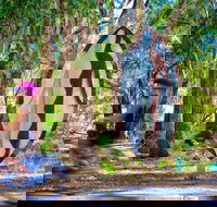 Wagirra Trail and Yindyamarra Sculpture Walk - Tourism Noosa