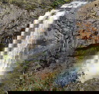 Waterfall Way Scenic Drive - Tourism Noosa