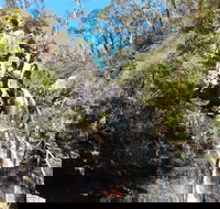 Waterfall Walk Kanangra-Boyd National Park - Tourism Noosa