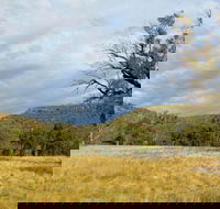 Weddin Mountains National Park - Tourism Noosa