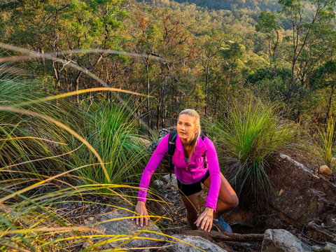 White Rock - Spring Mountain Conservation Estate - Tourism Noosa 2