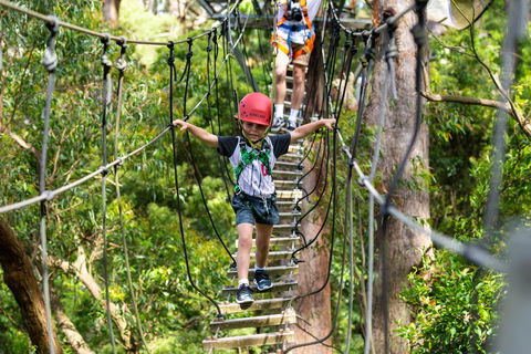 Zipline At Illawarra Fly - Tourism Noosa 1