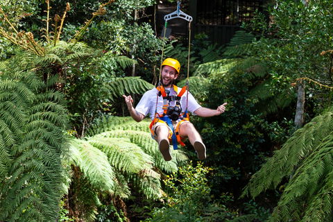 Zipline At Illawarra Fly - Tourism Noosa 2