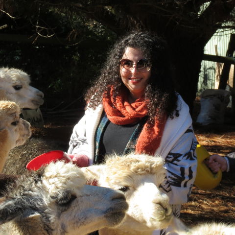 Alpaca Farm Experience At Crookwell - Tourism Noosa 1
