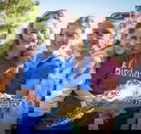 Australian Seabird Rescue - Tourism Noosa