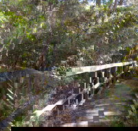 Awaba Bay Foreshore Walk - Tourism Noosa