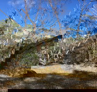 Bailey's Rocks - Dergholm State Park - Tourism Noosa