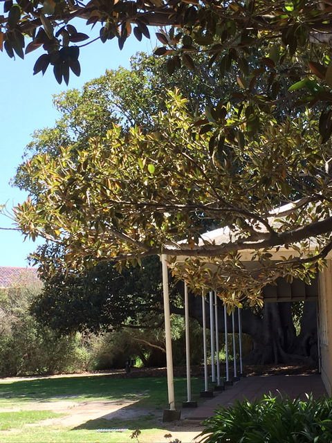 Black Rock House - Tourism Noosa 1