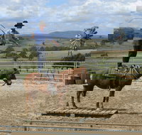 Boggy Creek Show - Tourism Noosa