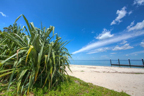 Bongaree Walkabout - Tourism Noosa 0
