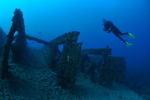 Cementco Dive Site - Tourism Noosa 0