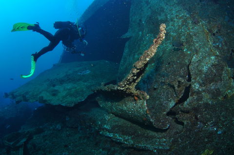 Cementco Dive Site - Tourism Noosa 1