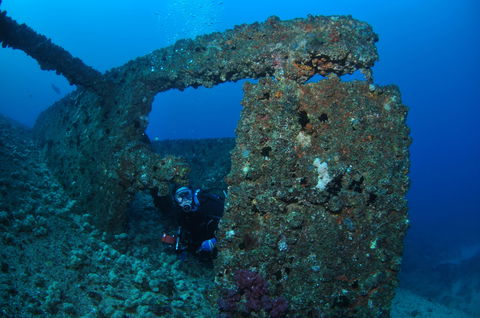 Cementco Dive Site - Tourism Noosa 2