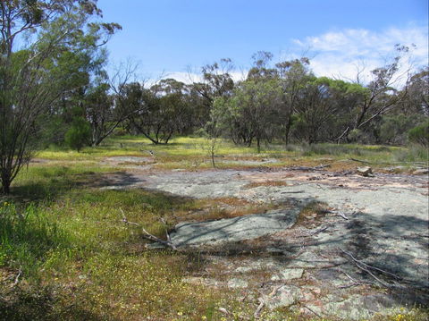 Christmas Rock Walk - Tourism Noosa 0