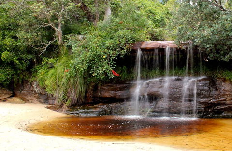 Collins Flat Beach - Tourism Noosa 0