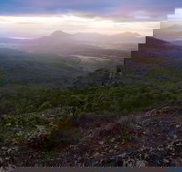 Cunninghams Gap and Spicers Gap Main Range National Park - Tourism Noosa