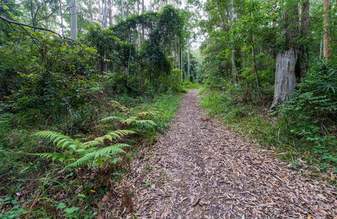 Double Wharf Trail - Tourism Noosa 0