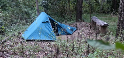 England Creek Bush Camp - Tourism Noosa 0