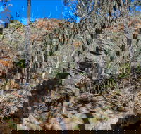 Eualdrie Walking Track - Tourism Noosa