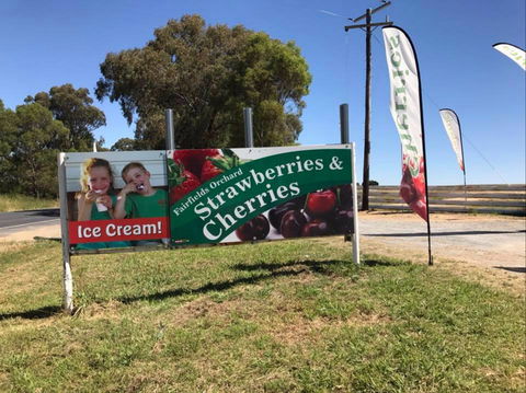 Fairfield Orchard - Tourism Noosa 0