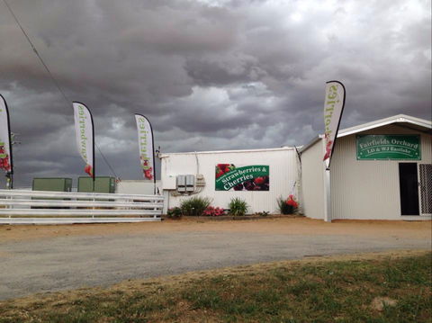 Fairfield Orchard - Tourism Noosa 2