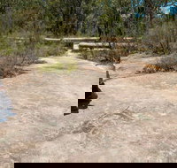 Finchley Cultural Walk - Tourism Noosa