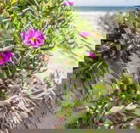 Fort Bribie - Tourism Noosa