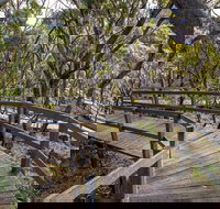 Governor Summit Corrunbral Borawah Walking Track - Tourism Noosa