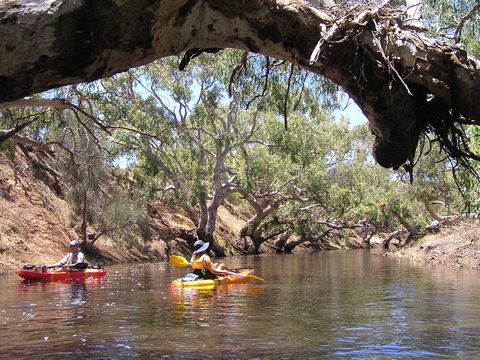 Greenough River Nature Trail - Tourism Noosa 1