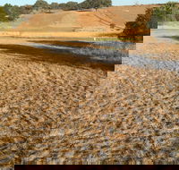 Gunning Golf Club - Tourism Noosa