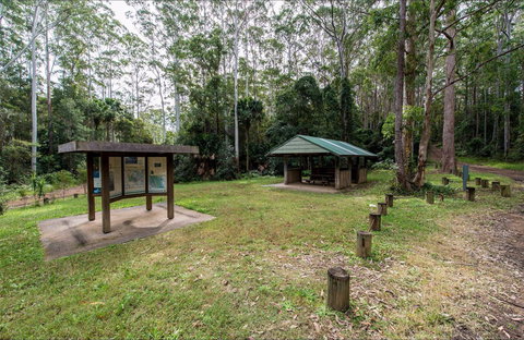 Gur-um-bee Picnic Area - Tourism Noosa 0