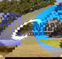 Hidden Rookwood Sculptures - Tourism Noosa