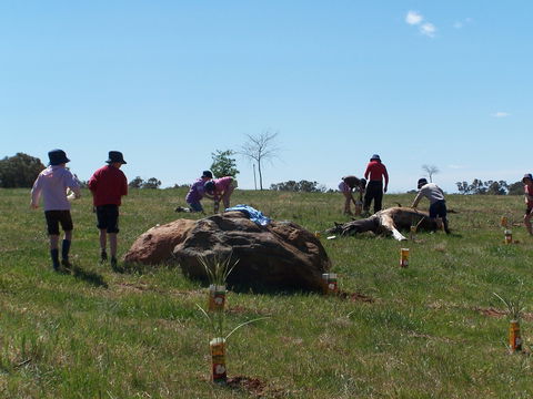 Jim Salmon  Wetland Education Site - Tourism Noosa 0