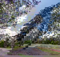 John Scott Park - Tourism Noosa