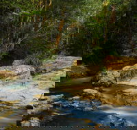 Jumrum Creek Walk Jumrum Creek Conservation Park - Tourism Noosa