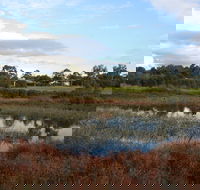 Karkarook Park - Tourism Noosa