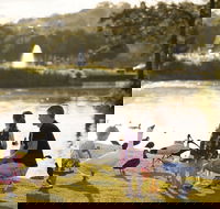 Lake Alford Recreational Park - Tourism Noosa