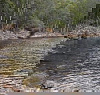 Lake Rowallan - Tourism Noosa