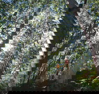 Leeuwin-Naturaliste National Park - Leeuwin - Tourism Noosa