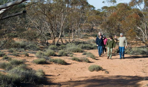Mallee Stop Walking Track - Tourism Noosa 0