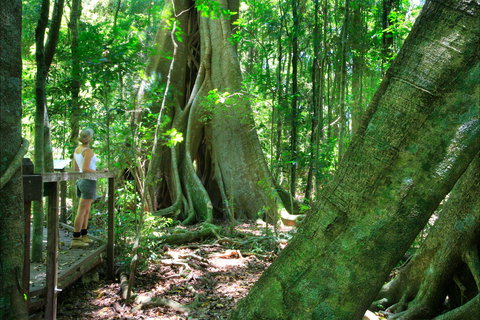 Mary Cairncross Scenic Reserve - Tourism Noosa 0